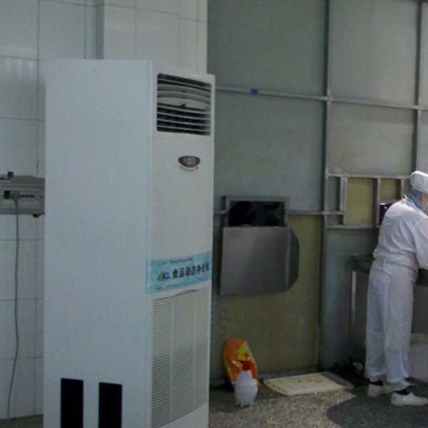 安庆食品正负离子空气杀菌器